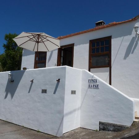 Finca La Paz ปุนตากอร์ดา ภายนอก รูปภาพ