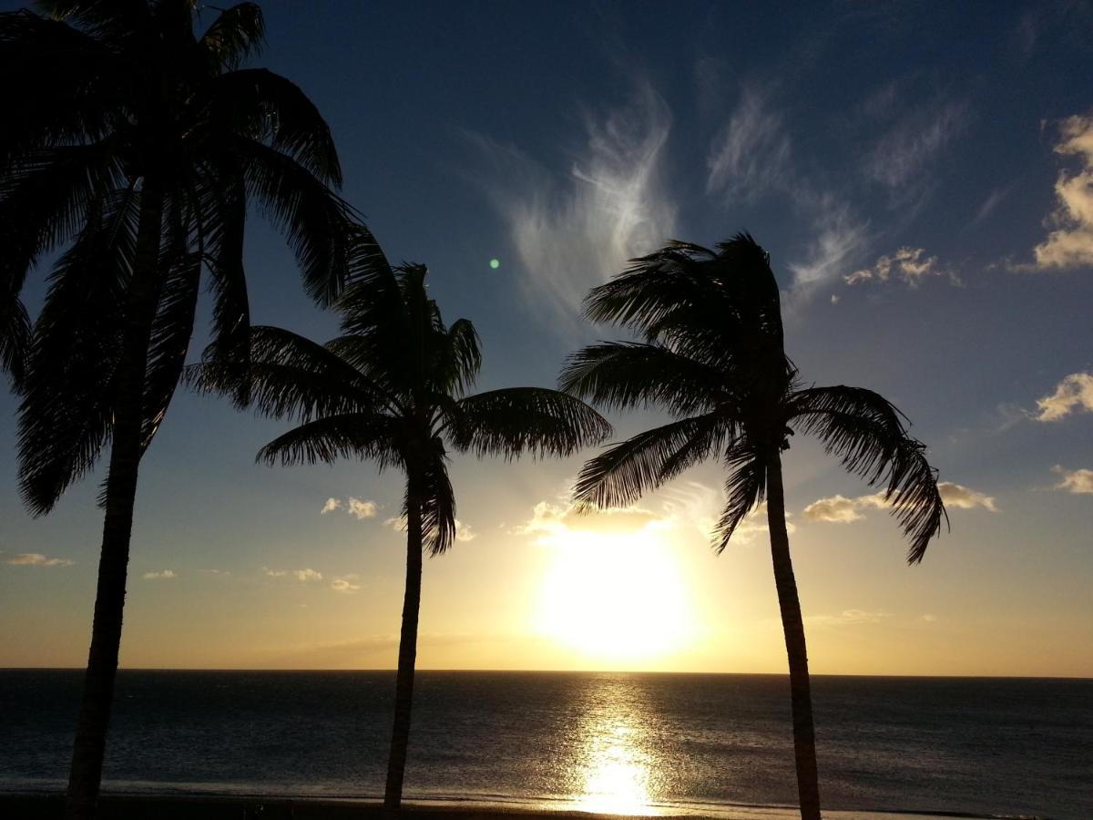 Finca La Paz ปุนตากอร์ดา ภายนอก รูปภาพ