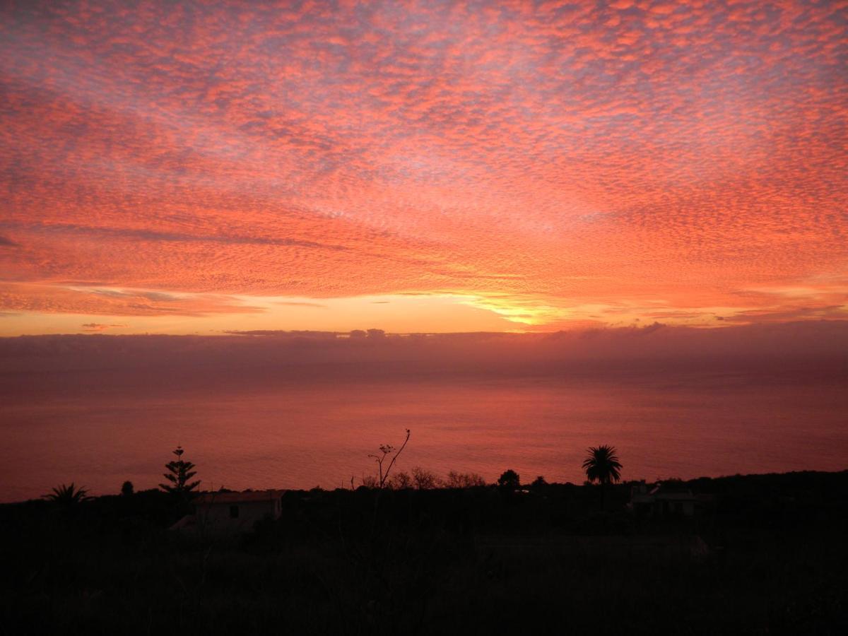 Finca La Paz ปุนตากอร์ดา ภายนอก รูปภาพ
